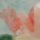 红