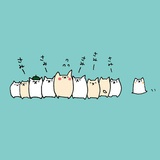 猪某人