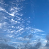 小王子51