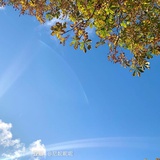 小o欧o