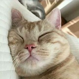 迪丽哒哒