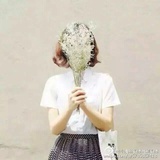 抹茶