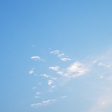泊告