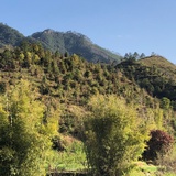子非鱼l