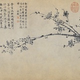 舒夜痕