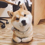 子涵💕