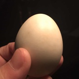 吕杰
