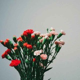 小丫头