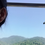 小粽子