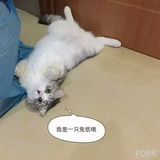 只只
