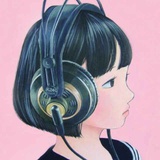 树袋熊