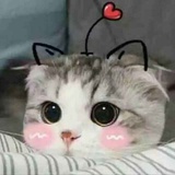 (V)(*'ω'*)(V)