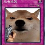 神秘佳