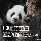 路痴如我不找北