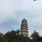 花间酌