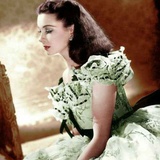 爱跳舞的肥猫🌳