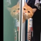 风雨轩窗静