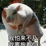 HJJ傑