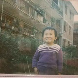 鸟