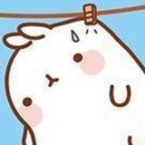 土土土小豆