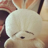 yancey~计费！💡