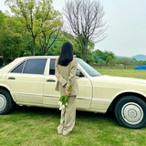 盈枝