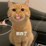 青芒养乐多