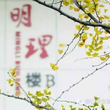 王未泯