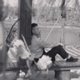 梦里不知身是客