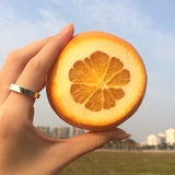 桂神