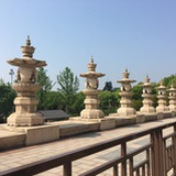 晦朔