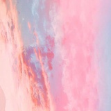友记