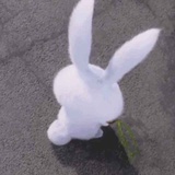 :