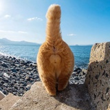 嗯吃海鲜