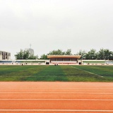 小树