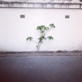 真是奇妙又让人