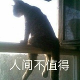 人间不值得