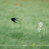 荏苒先生