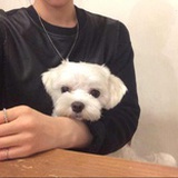 迪迪迪迪👑