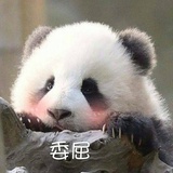 猫小熊
