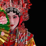 和兰花在一起