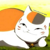 猫咪老师