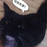 、七狐