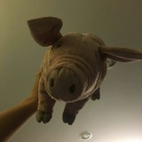hi_Stranger