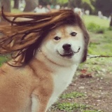 一直很安静