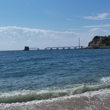 橘枳