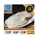 乳山润丰牡蛎