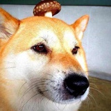 章程Charles
