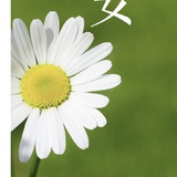 永远有多远