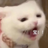 芒果超好吃